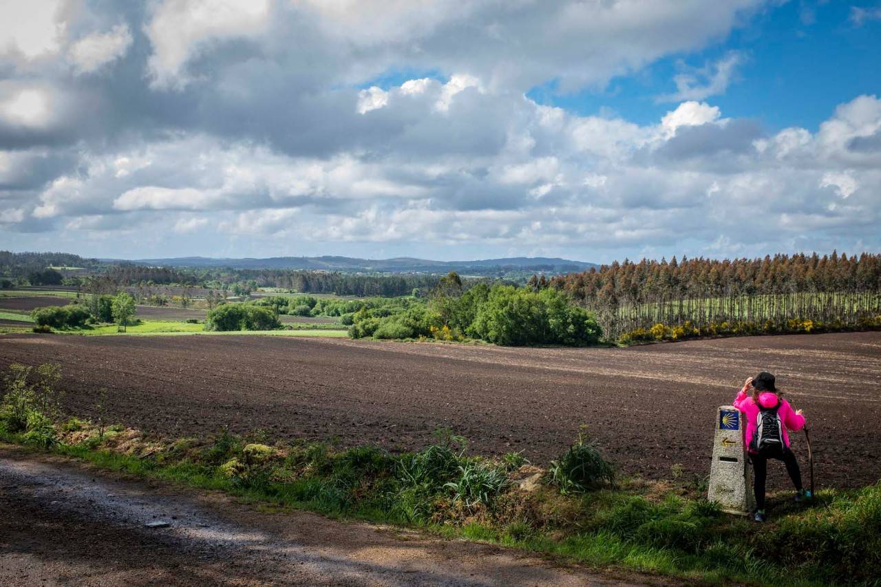 26/07/2026  Camino de Santiago a Finisterre 2026 - Imagen 4