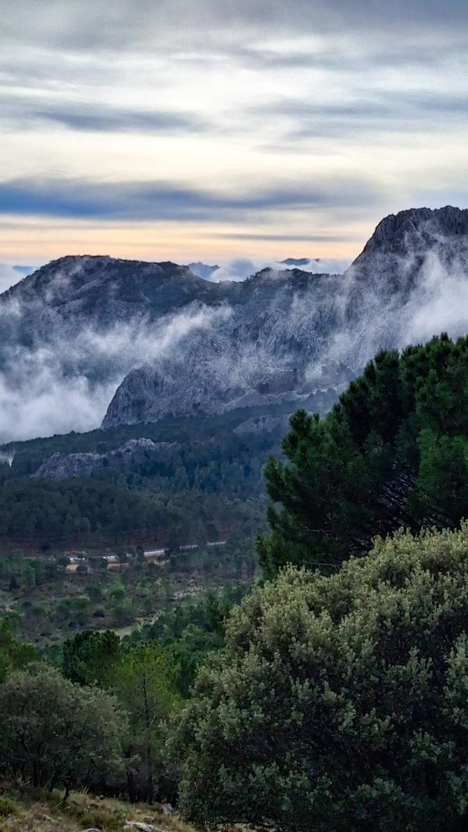 11/01/2026 - RUTA EL PINSAPAR DE GRAZALEMA - Imagen 2