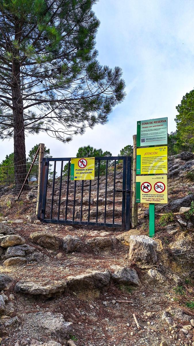 11/01/2026 - RUTA EL PINSAPAR DE GRAZALEMA - Imagen 3