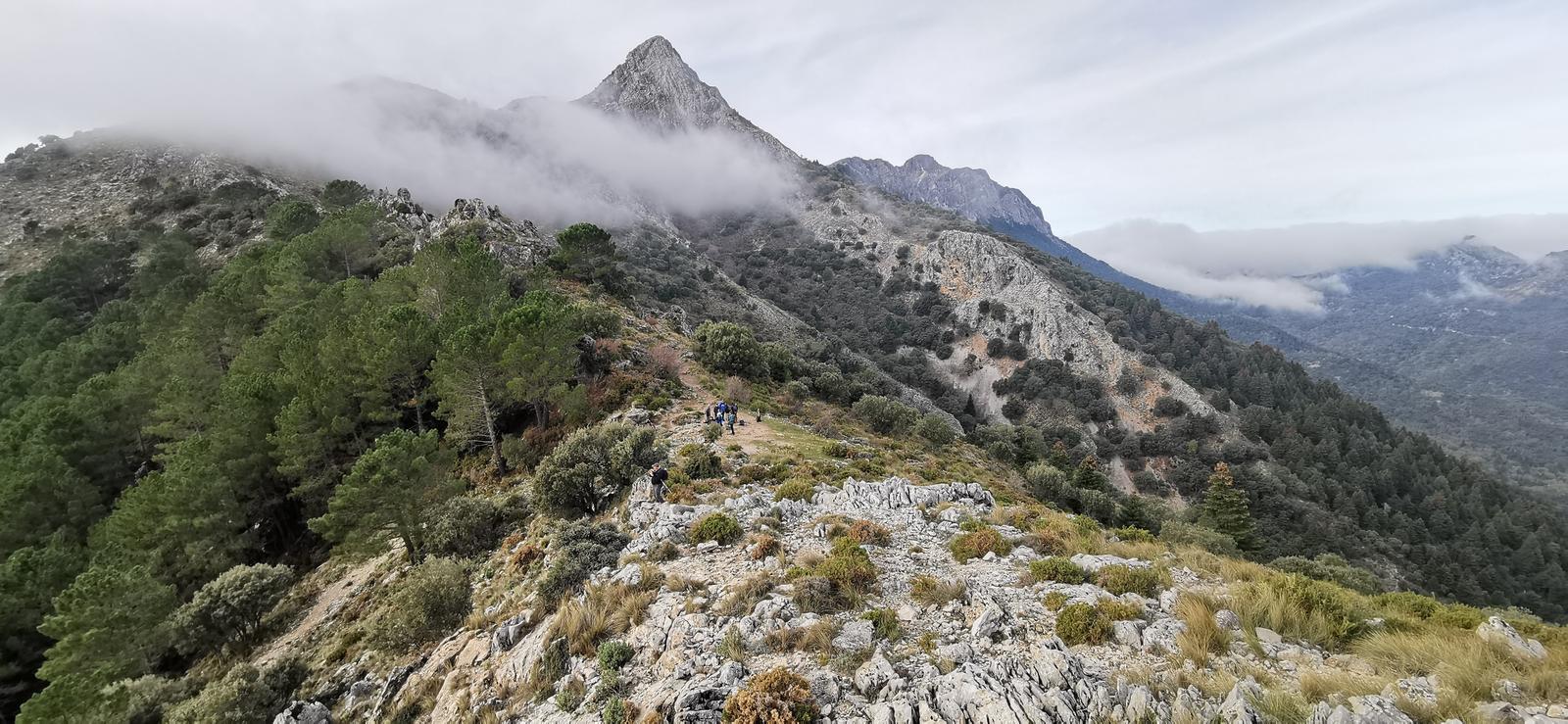 11/01/2026 - RUTA EL PINSAPAR DE GRAZALEMA - Imagen 4