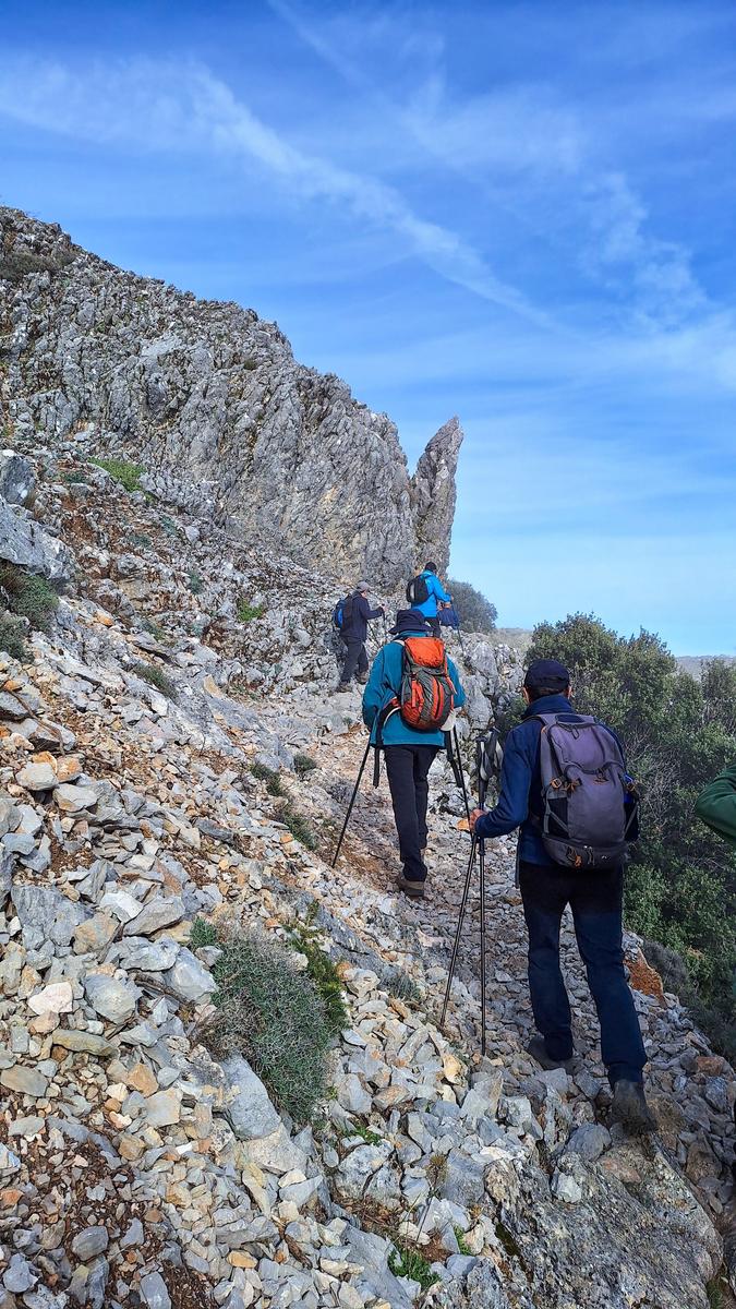 11/01/2026 - RUTA EL PINSAPAR DE GRAZALEMA - Imagen 5