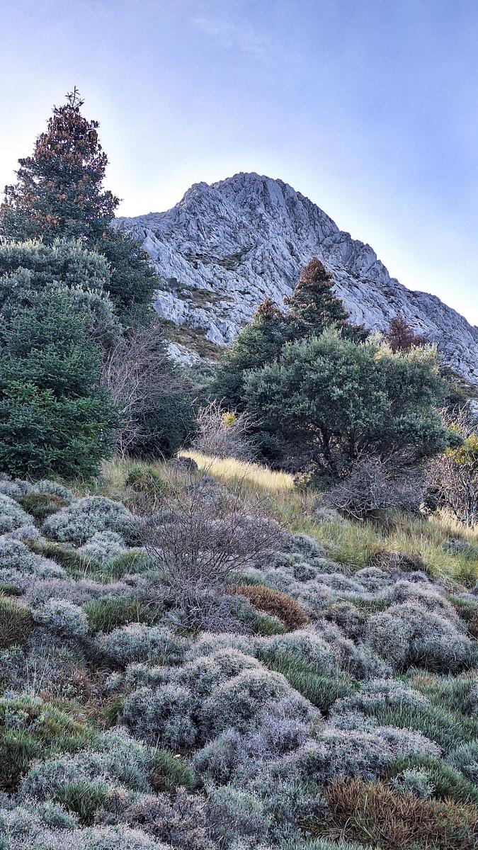 11/01/2026 - RUTA EL PINSAPAR DE GRAZALEMA - Imagen 7