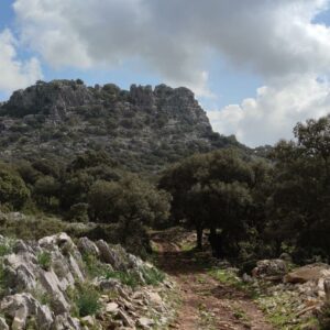 19/10/2025 - Circular Los Tajos de Grazalema