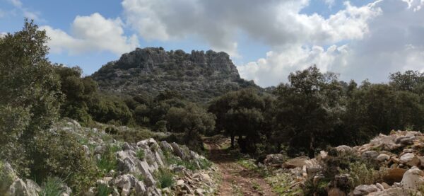 19/10/2025 - Circular Los Tajos de Grazalema