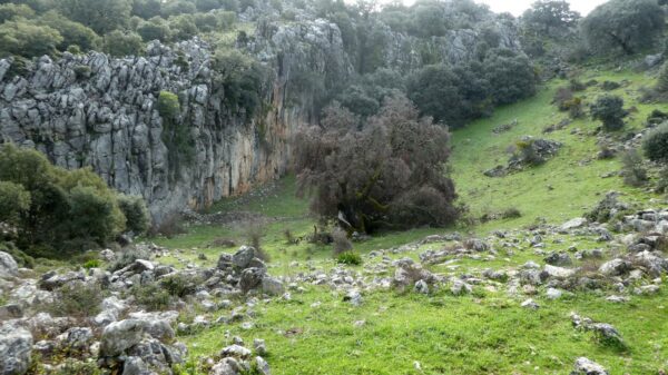 19/10/2025 - Circular Los Tajos de Grazalema - Imagen 6