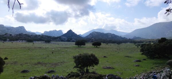 19/10/2025 - Circular Los Tajos de Grazalema - Imagen 7