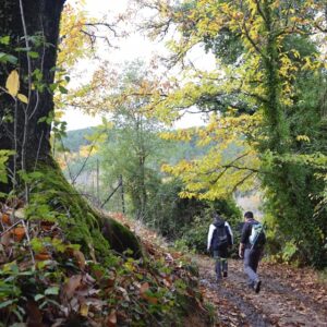26/10/2025 - Ruta entre Castaños Alcornoques y Gastronomía