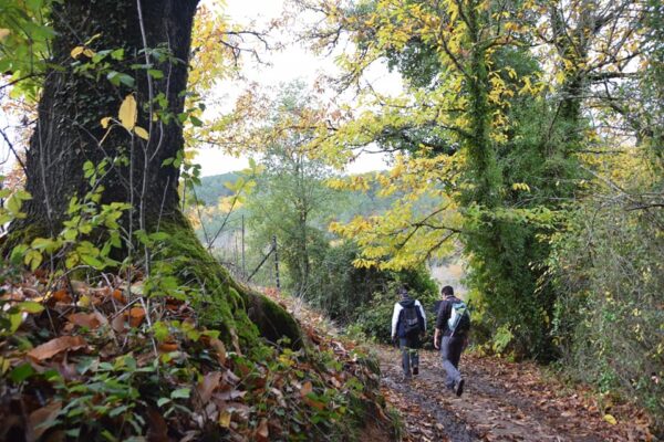 26/10/2025 - Ruta entre Castaños Alcornoques y Gastronomía