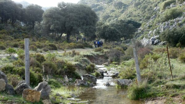 19/10/2025 - Circular Los Tajos de Grazalema - Imagen 2