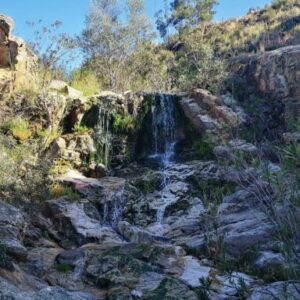 20/11/2025  Jueves Chorreras de Higuera de la Sierra