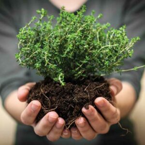 18/01/2026 - Ruta Etnobotanica con Biologo