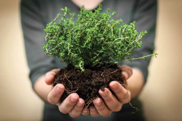 18/01/2026 - Ruta Etnobotanica con Biologo