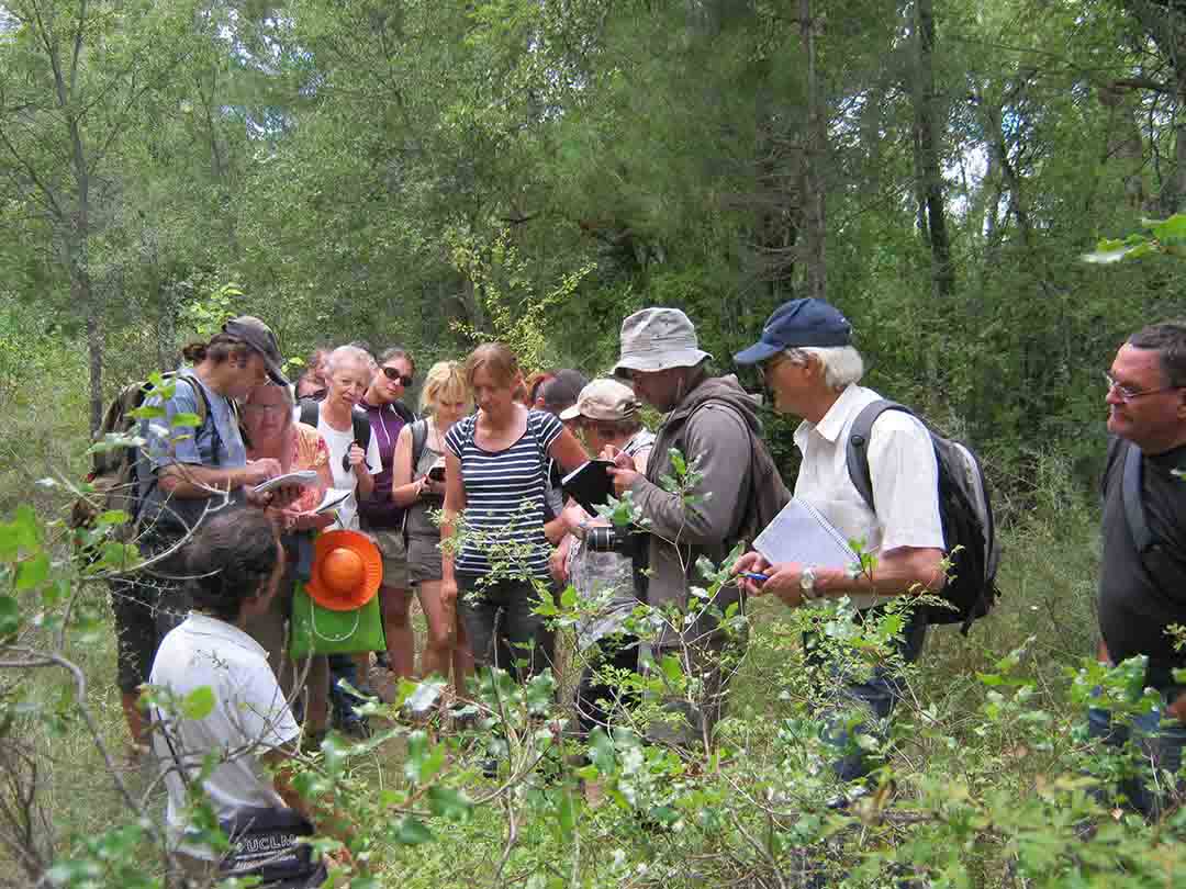 18/01/2026 - Ruta Etnobotanica con Biologo
