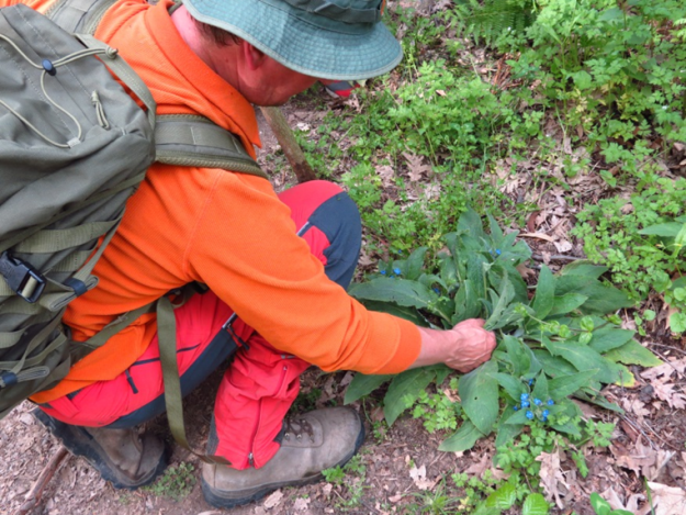 18/01/2026 - Domingo Ruta Etnobotanica con Biologo