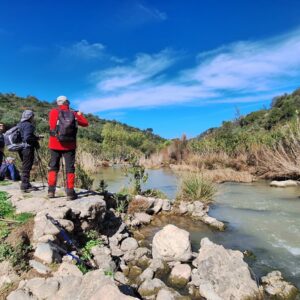 21/01/2026 MIERCOLES CIRCULAR GUADALETE