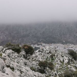 14/12/2025 - DOMINGO MIRADORES SIERRA VIÑAS