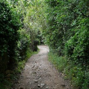 13/11/2025- Jueves Circular Camino de Jabuguillo