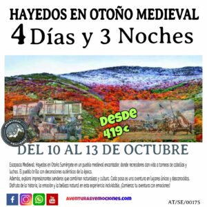 10/10/2025 HAYEDOS OTOÑO DESCONOCIDO  MEDIEVAL