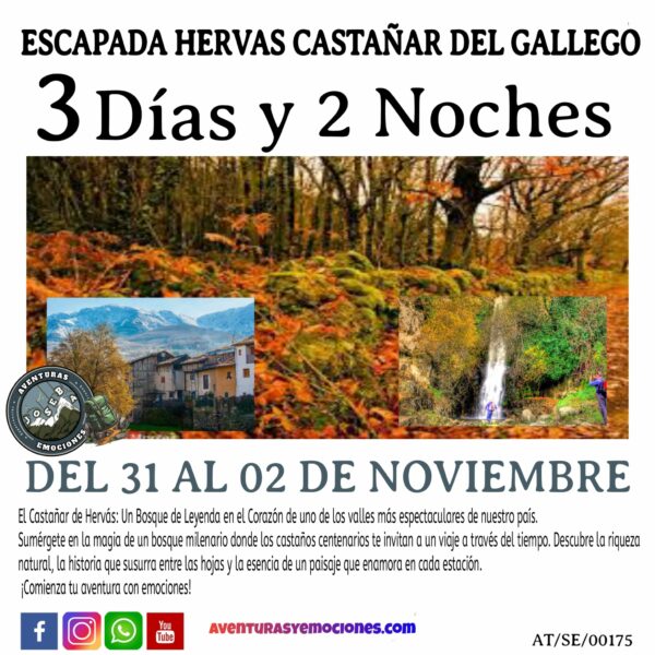 31/10/2025 ESCAPADA HERVAS EL CASTAÑAR GALLEGO Y SUS SENDEROS