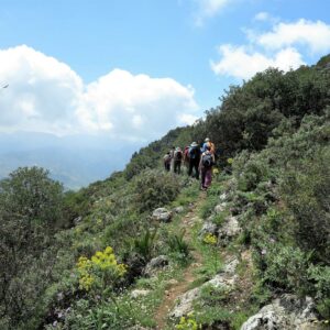 15/11/2025 Sabado Circular Sierra de Lijar Mongote V Edicion