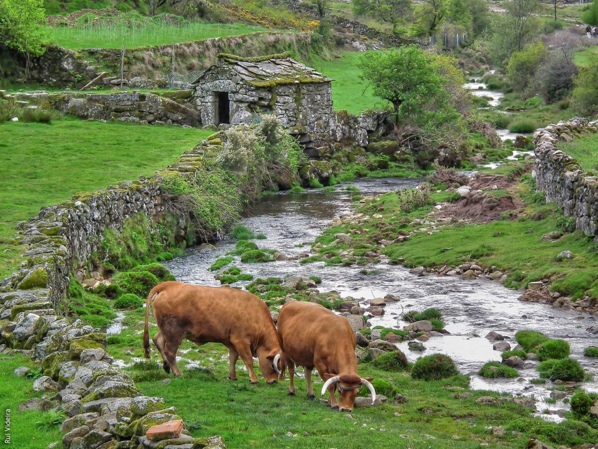 01/04/2026 SEMANA SANTA SIERRA MAGICA DE AROUCA-EL ORIGEN - Imagen 13