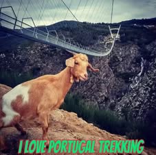 01/04/2026 SEMANA SANTA SIERRA MAGICA DE AROUCA-EL ORIGEN - Imagen 18