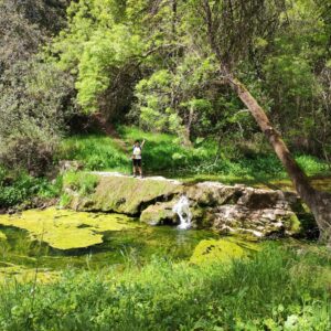 16/11/2025 Domingo Circular Riberas de las Navas