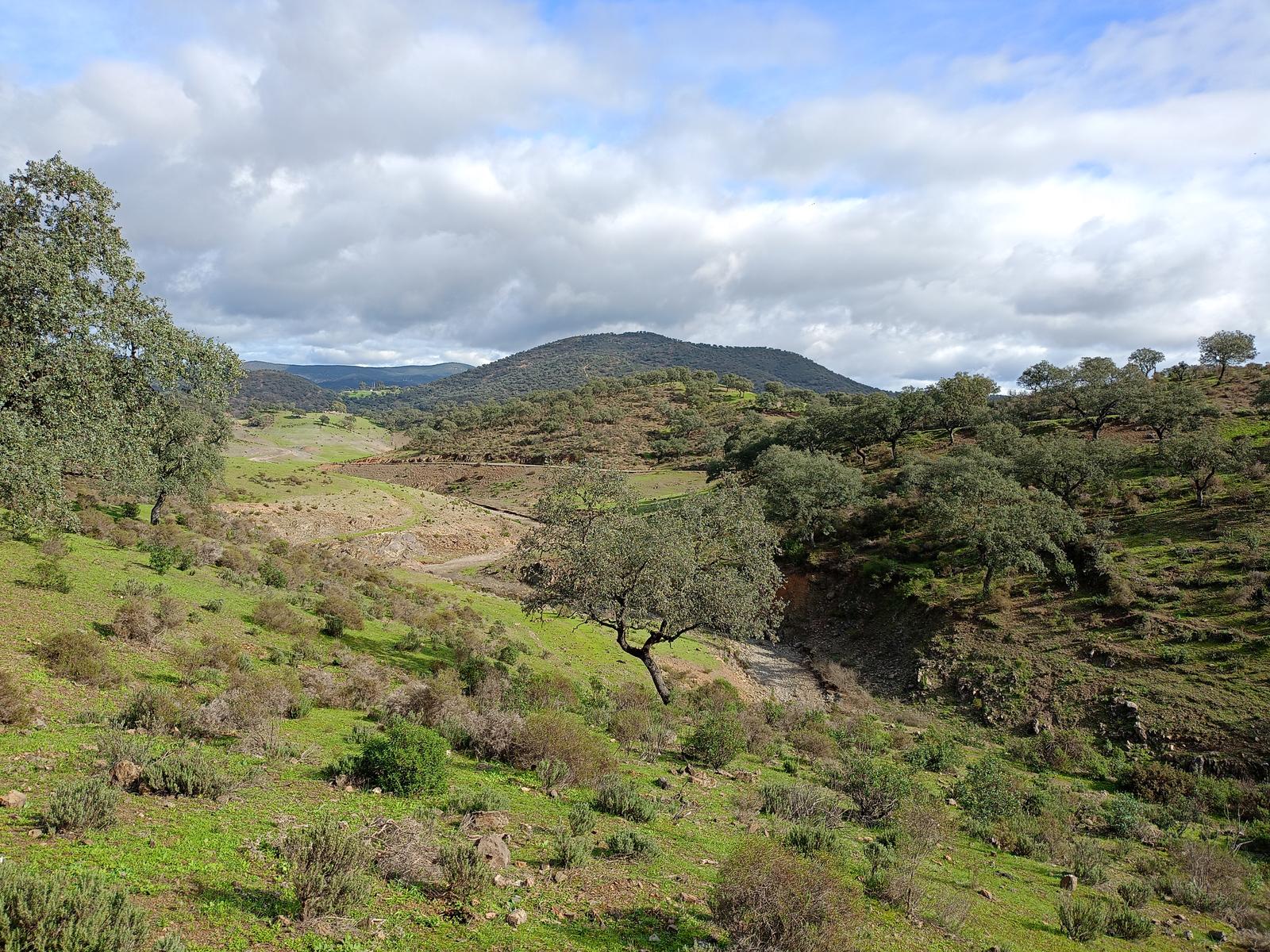 04/01/2026 SENDEROS DE ZUFRE - Imagen 7