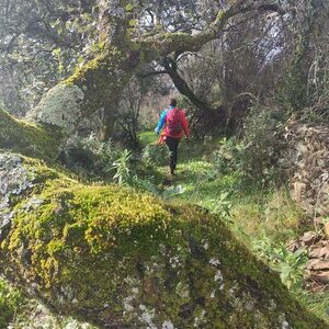 20/12/2025 CIRCULAR CUATRO ALDEAS DEL MADROÑO