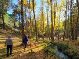 27/02/2026 SIERRA NEVADA QUENTAR Y SENDERO DEL TRANVIA - Imagen 6