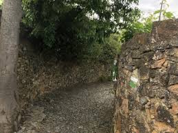 04/01/2026 SENDEROS DE ZUFRE - Imagen 4