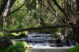 27/02/2026 SIERRA NEVADA QUENTAR Y SENDERO DEL TRANVIA - Imagen 7