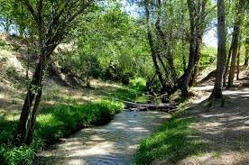 27/02/2026 SIERRA NEVADA QUENTAR Y SENDERO DEL TRANVIA - Imagen 8