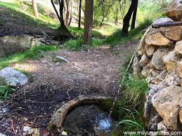 27/02/2026 SIERRA NEVADA QUENTAR Y SENDERO DEL TRANVIA - Imagen 9