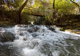 27/02/2026 SIERRA NEVADA QUENTAR Y SENDERO DEL TRANVIA - Imagen 16