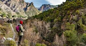 27/02/2026 SIERRA NEVADA SENDEROS DE QUENTAR