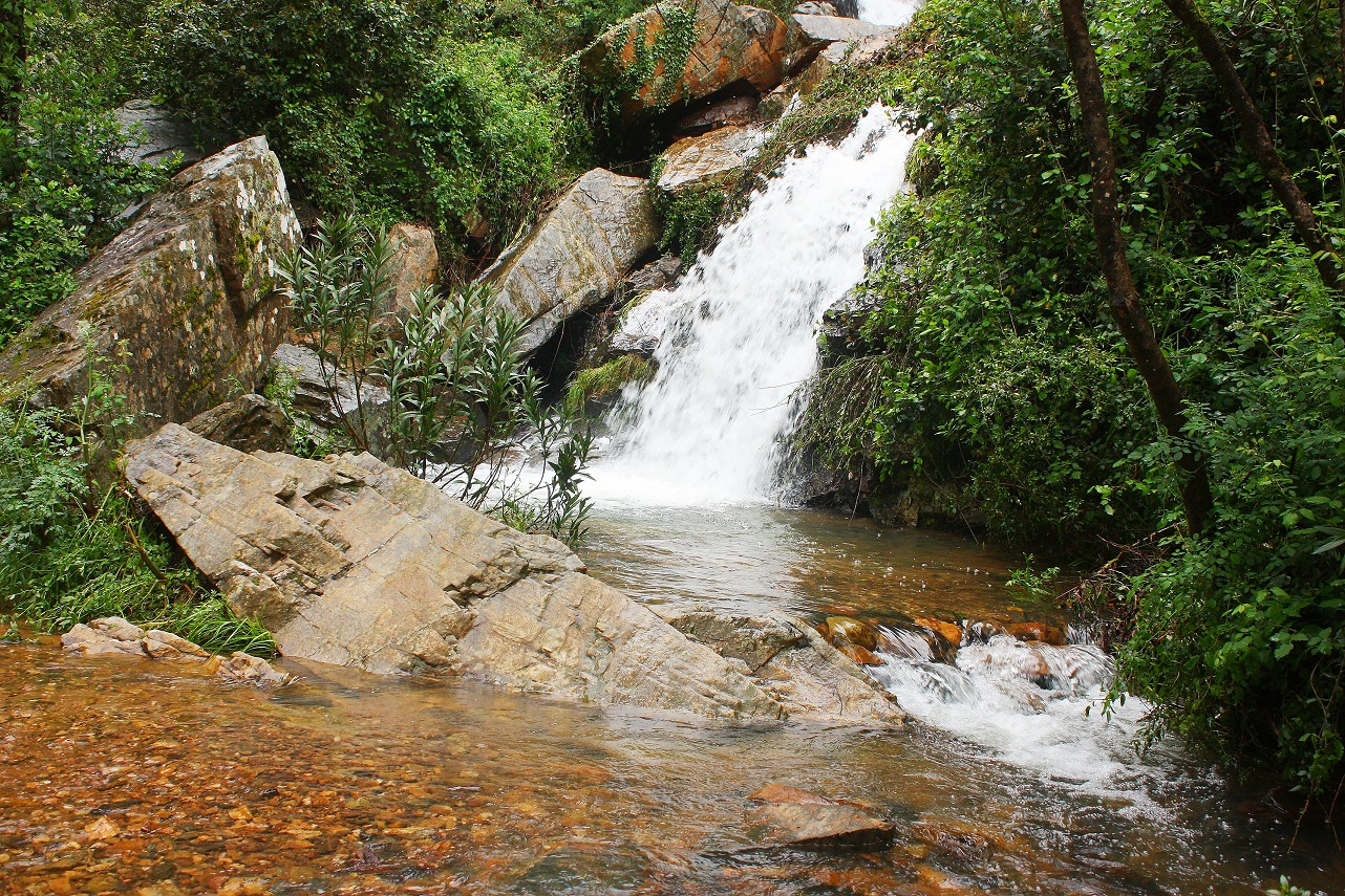 25/01/2026 CIRCULAR ENTRE CAMINOS Y CASCADA JOYARANCON