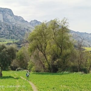 25/01/2026 CIRCULAR PILAS DE ALHAJUELA Y NACIMIENTO RIO VILLA
