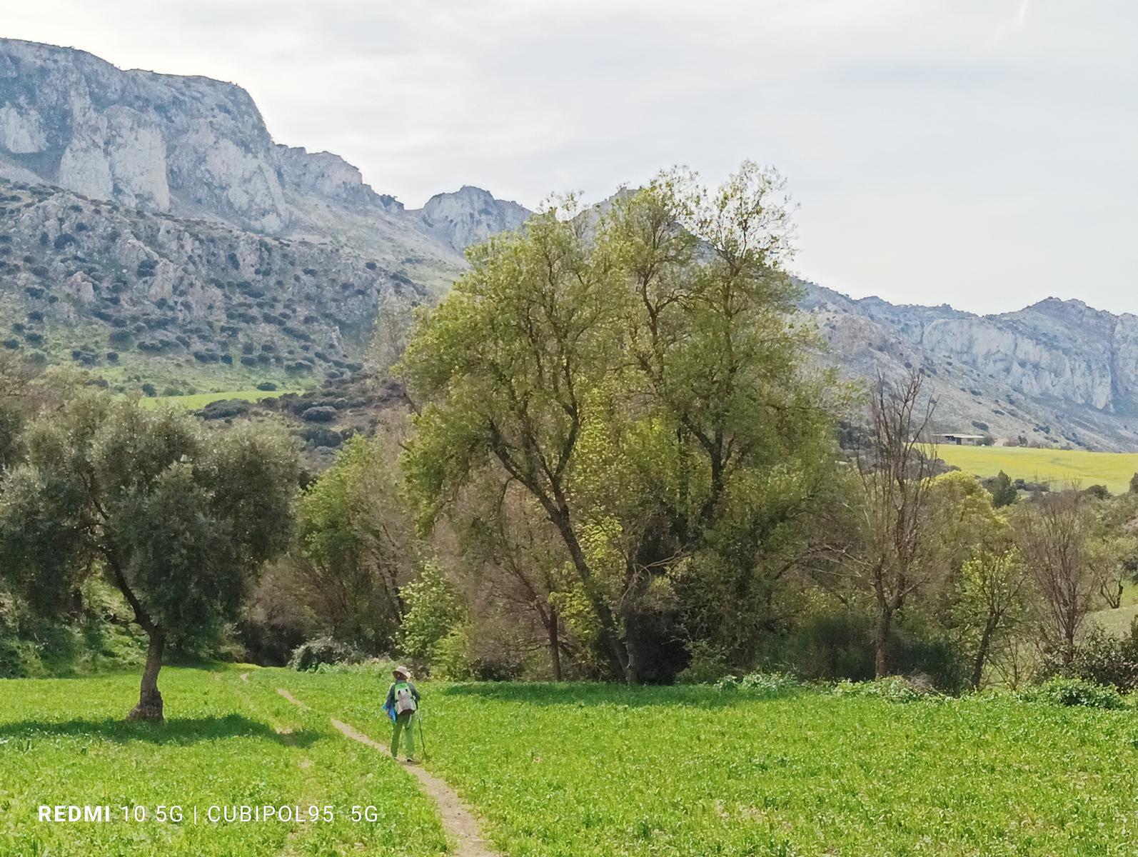 25/01/2026 CIRCULAR PILAS DE ALHAJUELA Y NACIMIENTO RIO VILLA