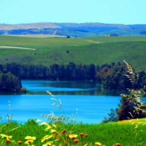 29/01/2026  JUEVES PALMAR DE TROYA PANTANO DEL AGUILA