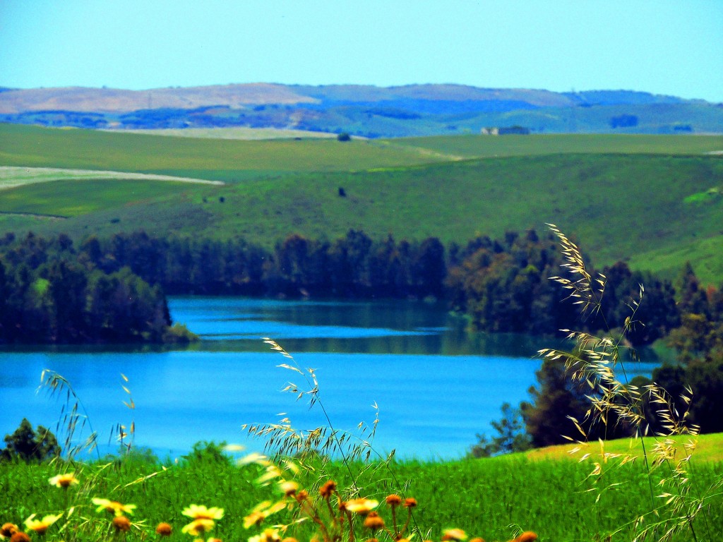 29/01/2026  JUEVES PALMAR DE TROYA PANTANO DEL AGUILA