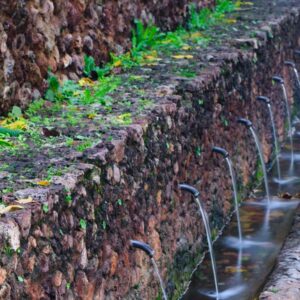 14/02/26 CIRCULAR CALABACINO ARROYOS Y CAMINOS