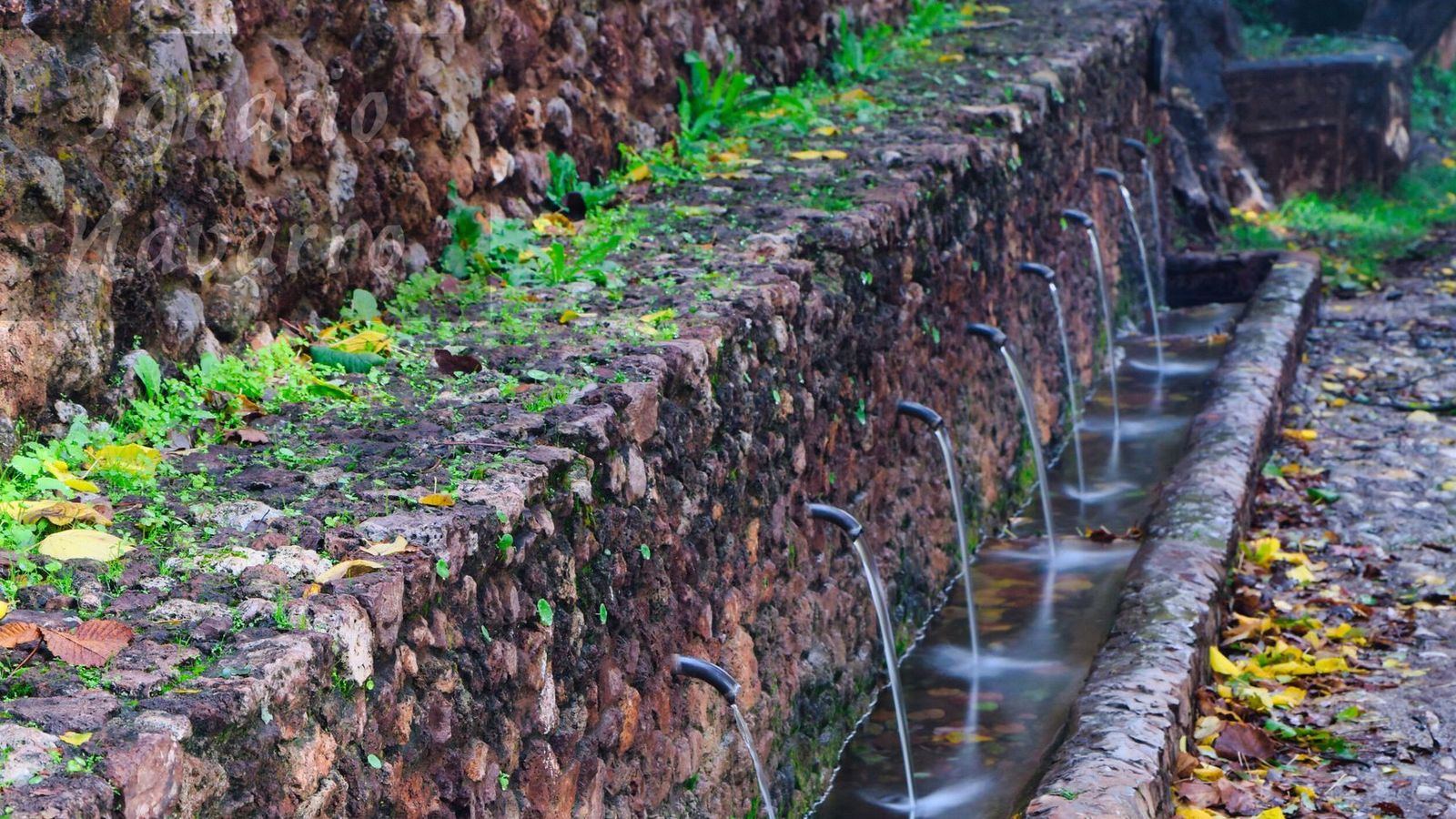 14/02/26 CIRCULAR CALABACINO ARROYOS Y CAMINOS