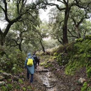 15/02/2026  DOMINGO ENTRE CAMINOS Y ARROYOS CASCADAS