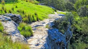 11/04/2026 Sabado Meseta Blanca y Arroyos de los Pedroches. - Imagen 2