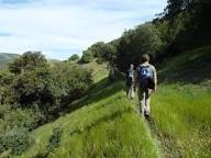 11/04/2026 Sabado Meseta Blanca y Arroyos de los Pedroches. - Imagen 9