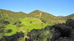 11/04/2026 Sabado Meseta Blanca y Arroyos de los Pedroches. - Imagen 3