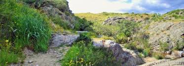 11/04/2026 Sabado Meseta Blanca y Arroyos de los Pedroches. - Imagen 11