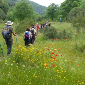 10/05/2026 SENDERIO RIO GUADALORA