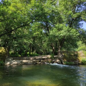 26/04/2016 RUTA JUNTO AL RIO MURTIGAS